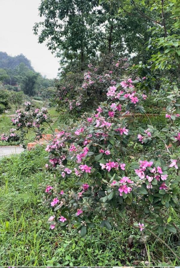 Riverside Homestay Cao Bang Ngoại thất bức ảnh